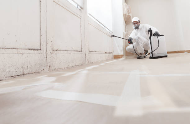 24/7 Emergency Mold Remediation experts in Kintnersville, PA