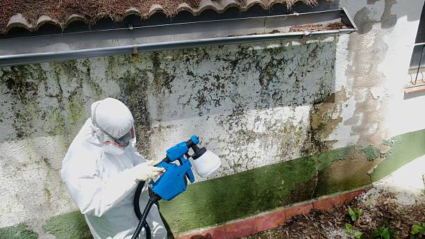Top rated local Mold Remediation specialists in Kintnersville, PA